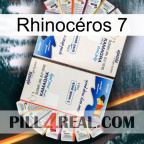 Rhinocéros 7 kamagra1